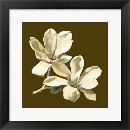 Framed Magnolia on Taupe II Print