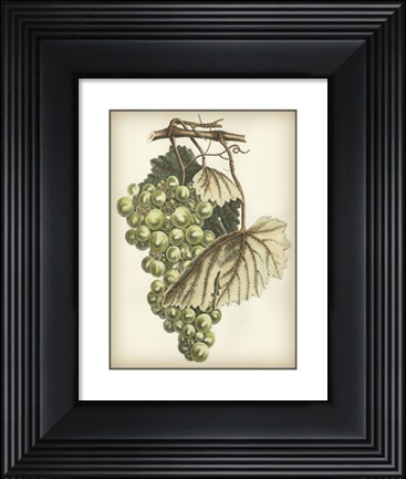 Framed Green Grapes I Print