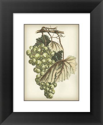 Framed Green Grapes I Print