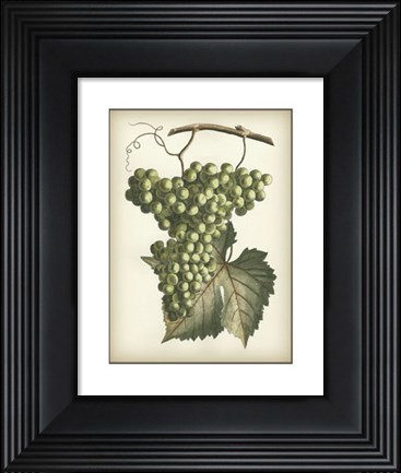 Framed Green Grapes II Print