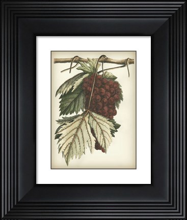 Framed Red Grapes I Print