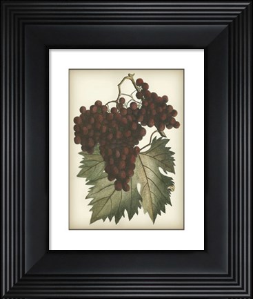 Framed Red Grapes II Print