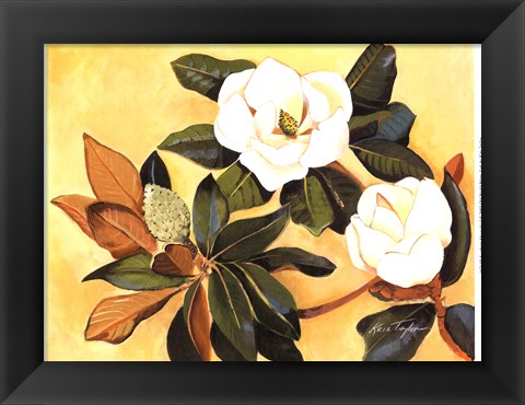 Framed Southern Magnolia I Print