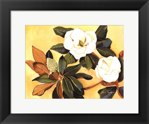 Framed Southern Magnolia I Print