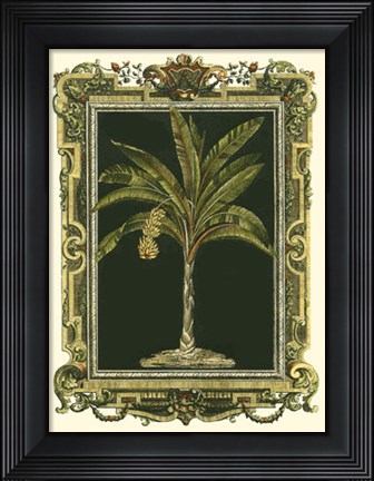 Framed Decorative Framed Palm I Print