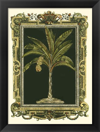 Framed Decorative Framed Palm I Print