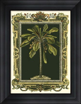 Framed Decorative Framed Palm II Print