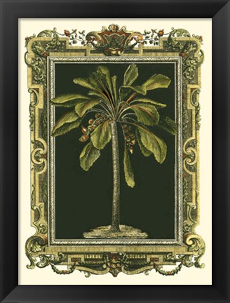 Framed Decorative Framed Palm II Print