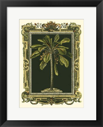Framed Decorative Framed Palm II Print