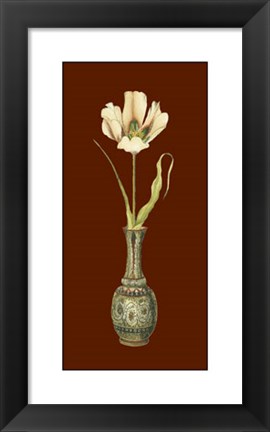 Framed Tulip in Vase III Print