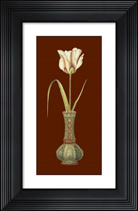 Framed Tulip in Vase IV Print