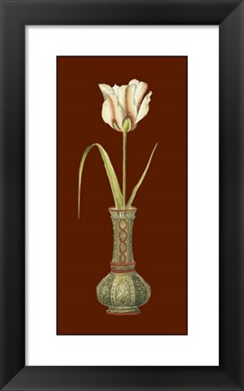 Framed Tulip in Vase IV Print