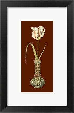 Framed Tulip in Vase IV Print