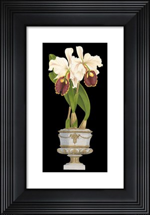 Framed Orchids in Silver I Print