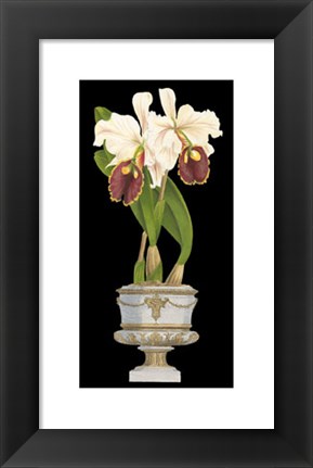 Framed Orchids in Silver I Print