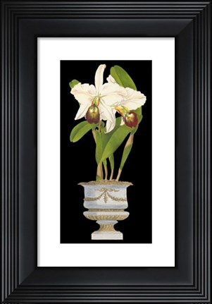 Framed Orchids in Silver II Print