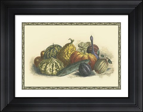 Framed Melons and Gourds Print