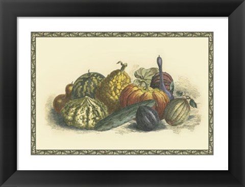 Framed Melons and Gourds Print