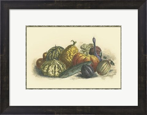 Framed Melons and Gourds Print