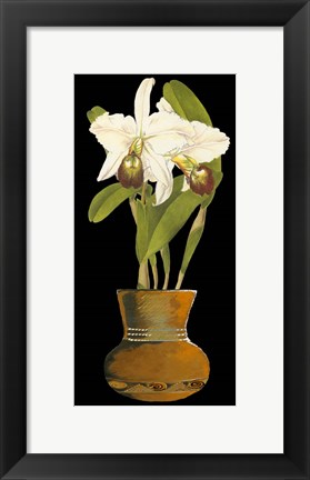 Framed Orchids in Pot I Print