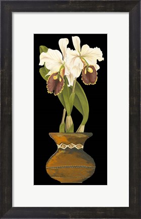 Framed Orchids in Pot II Print