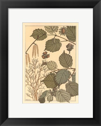 Framed Hazel Tree Print