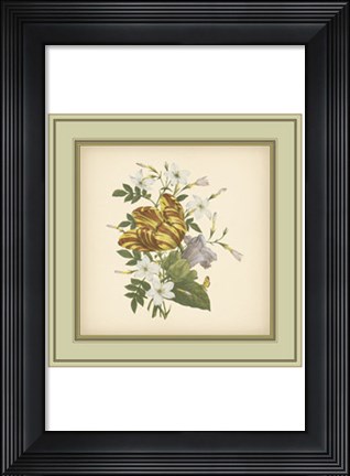 Framed Tuscany Bouquet (P) IX Print