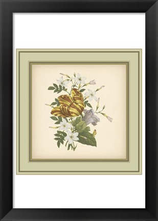 Framed Tuscany Bouquet (P) IX Print