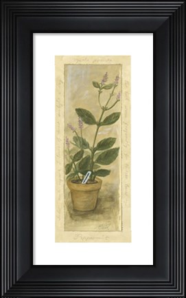 Framed Peppermint Print