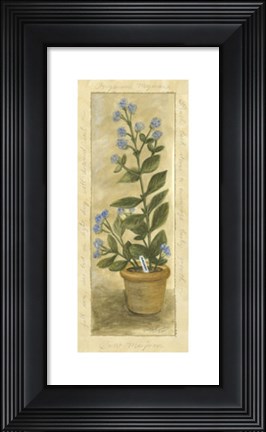 Framed Marjoram Print