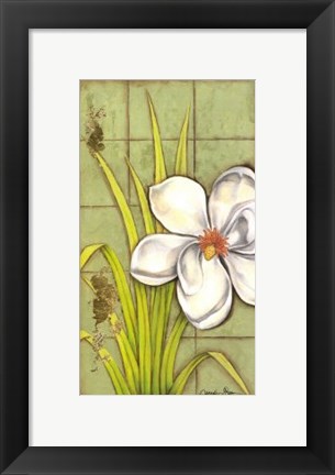 Framed Sugar Magnolia (P) I Print