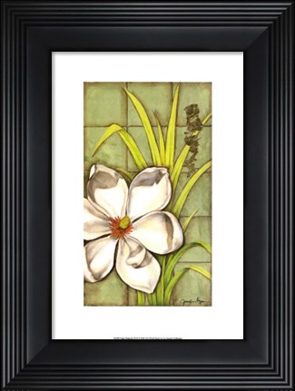 Framed Sugar Magnolia (P) II Print
