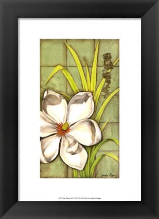 Framed Sugar Magnolia (P) II Print