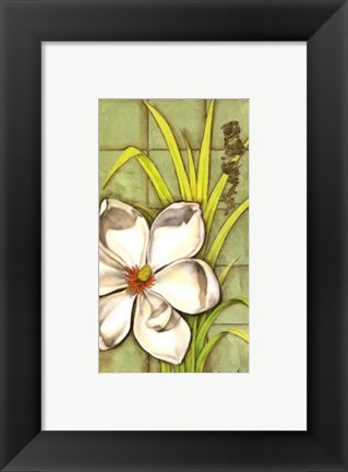 Framed Sugar Magnolia (P) II Print