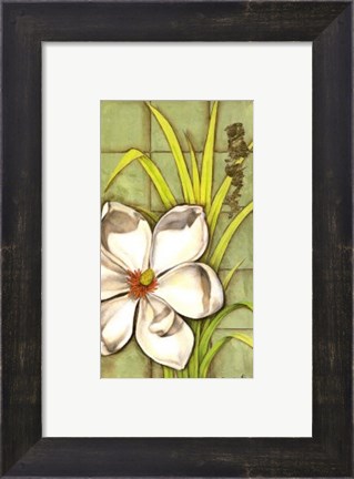 Framed Sugar Magnolia (P) II Print