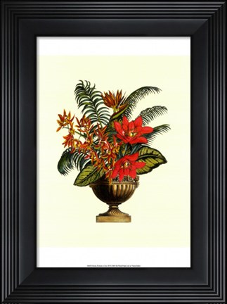 Framed Exotic Flowers in Urn (P) I Print