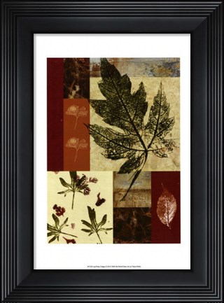 Framed Leaf Print Collage (U) III Print