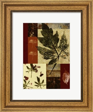 Framed Leaf Print Collage (U) III Print