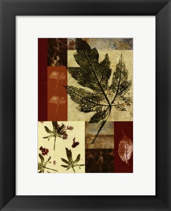 Framed Leaf Print Collage (U) III Print