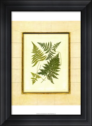 Framed Fern with Crackle Mat  I Print