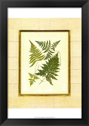 Framed Fern with Crackle Mat  I Print