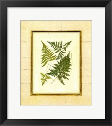 Framed Fern with Crackle Mat  I Print