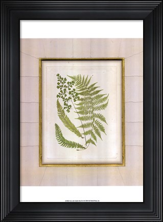 Framed Fern with Crackle Mat (H) II Print