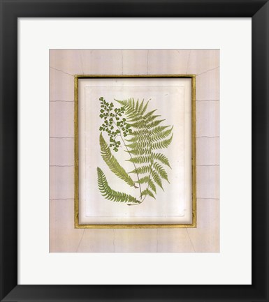 Framed Fern with Crackle Mat (H) II Print