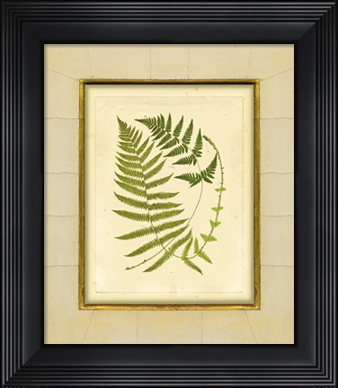 Framed Fern with Crackle Mat (H) III Print