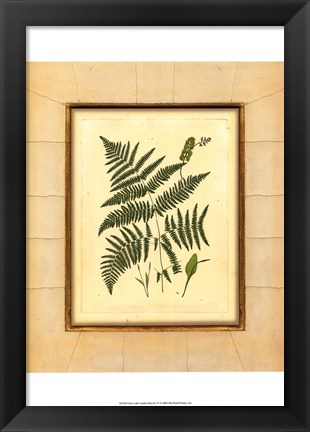 Framed Fern with Crackle Mat (H) IV Print