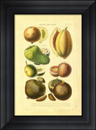 Framed Fruits and Nuts I Print