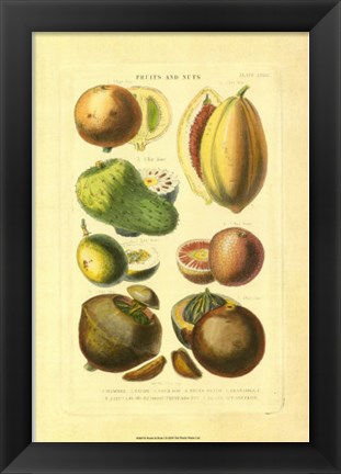 Framed Fruits and Nuts I Print