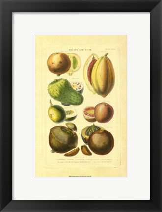 Framed Fruits and Nuts I Print