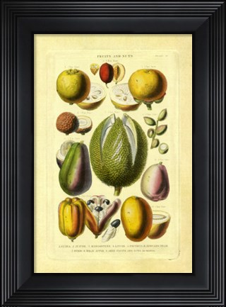Framed Fruits and Nuts II Print